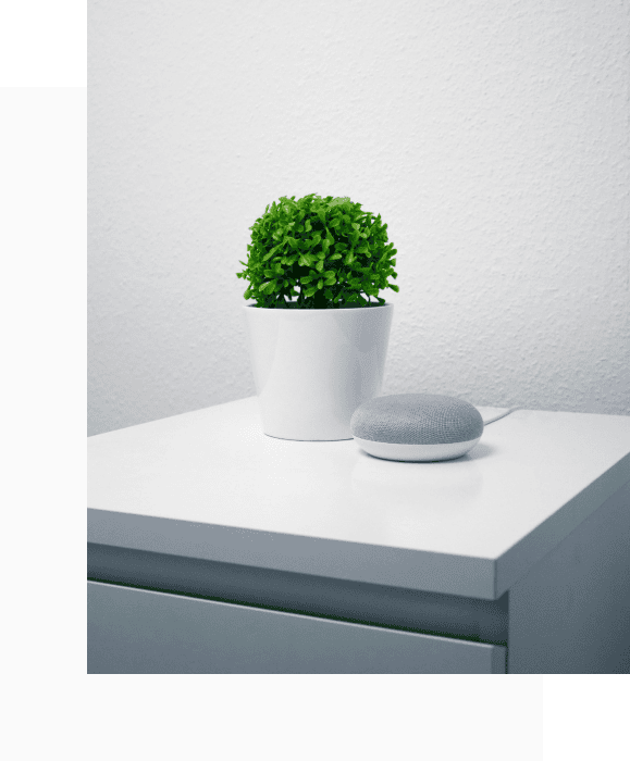 Flownova Ai & It Services — photo from the business website